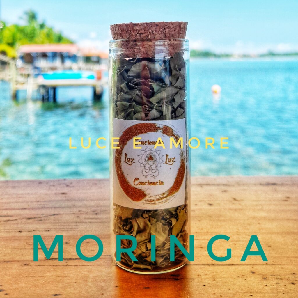 Moringa oleífera orgánica es un producto trabajados con Conciencia y Luz y Amor. Todos los beneficios y propiedades del árbol de la vida. Moringa tiene grandes cualidades beneficiosas por nuestro cuerpo! ¡Es un poderoso antioxidante! ¡Cuidado con la moringa en rodajas no original! CACAO DE BUDA ORGÁNICO con hierbas, frutas, bayas, aceites esenciales, tinturas y alimentos; para una excelente salud y bienestar. Productos innovadores para tu Salud y Bienestar. ¡Prueba Cacao Buddha gratis! Prueba Cacao Buddha gratis Vía WhatsApp +50764603512. Productos innovadores trabajados con Conciencia, Luz y Amor. para su salud y bienestar. ¡Prueba Cacao Buddha gratis! WhatsApp +50764603512 Excelente salud y bienestar! Haz la bio prueba gratuita de Cacao, moringa y copaiba y edulcorante orgánico. ¡Sin azúcar cristalino químico! ¡Sin competidores! ¡Sin Contraindicaciones! ¡Sin efectos secundarios! ¡Sin Agentes Nocivos!