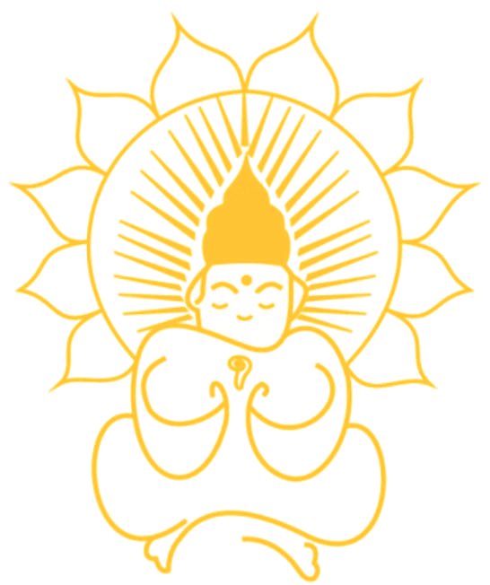 The Light of Consciousness